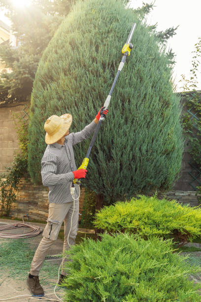 Best Seasonal Cleanup (Spring/Fall)  in East Rutherford, NJ